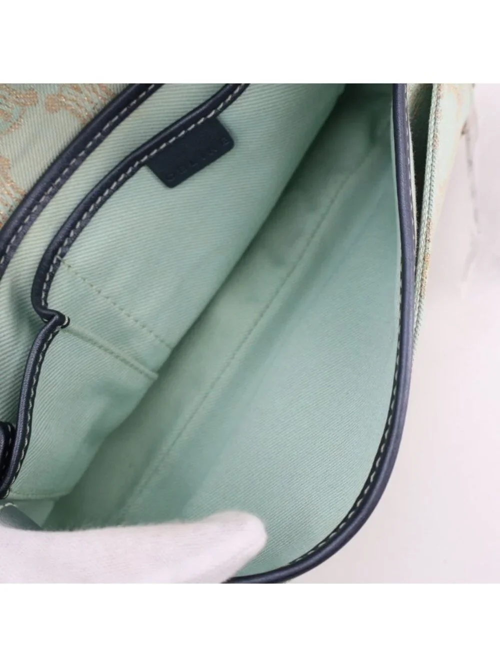 Celine Pouch Blue